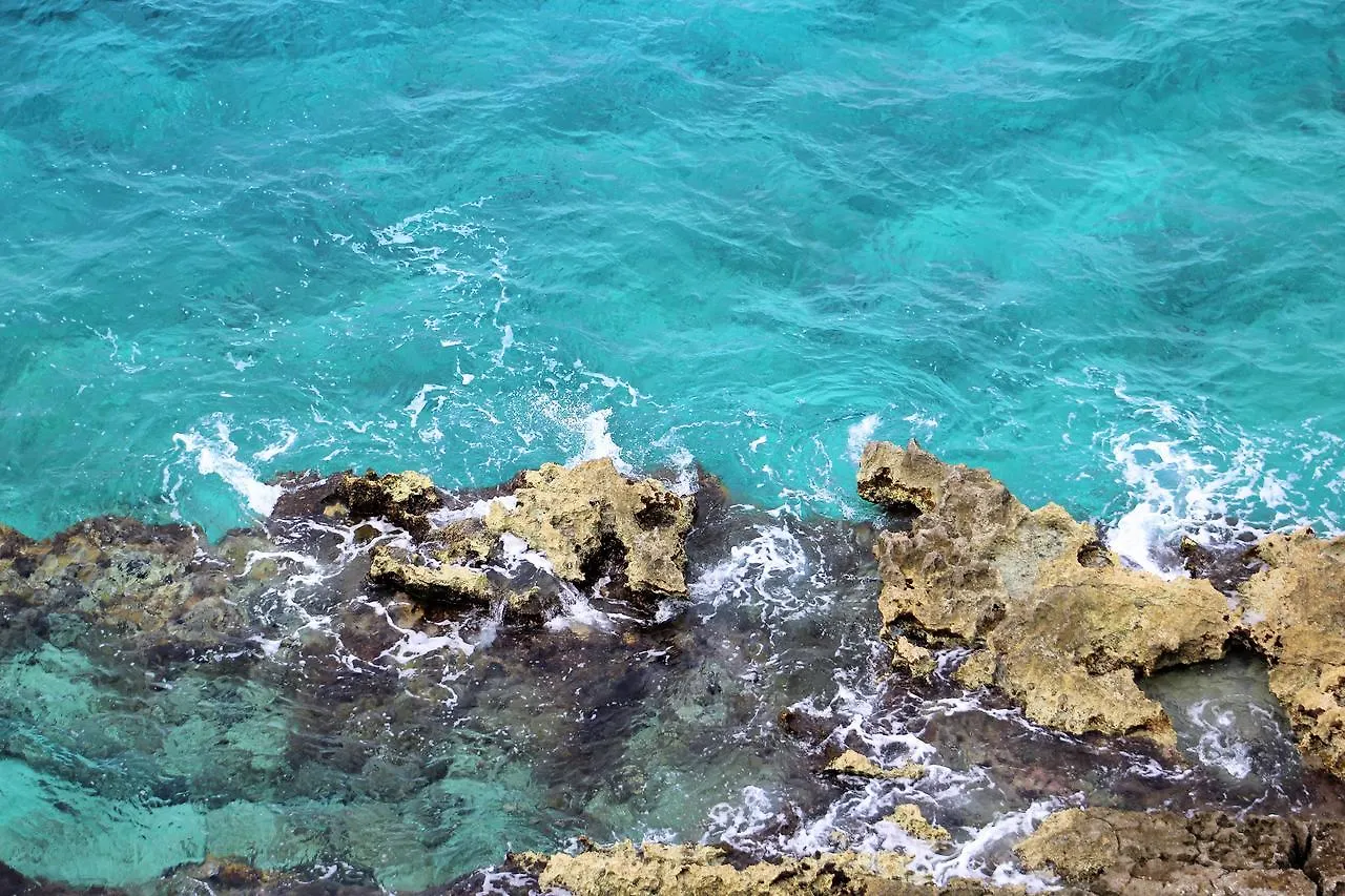 Coral Princess Hotel & Dive Resort Cozumel